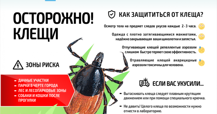 ВНИМАНИЕ ! Клещи - чем они опасны и как уберечься.